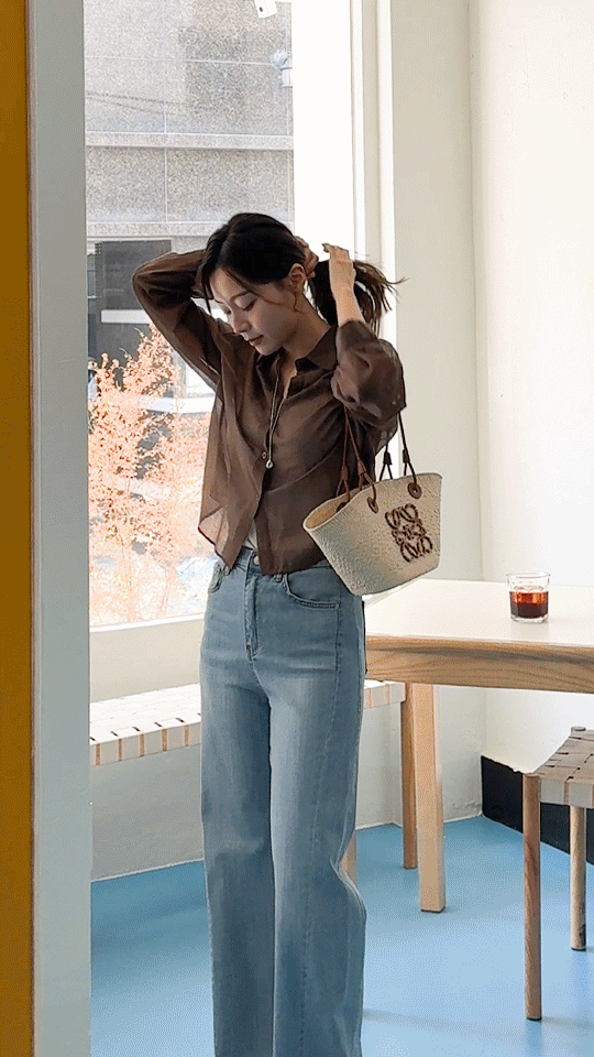 은은한 시스루 베이직 카라 셔츠